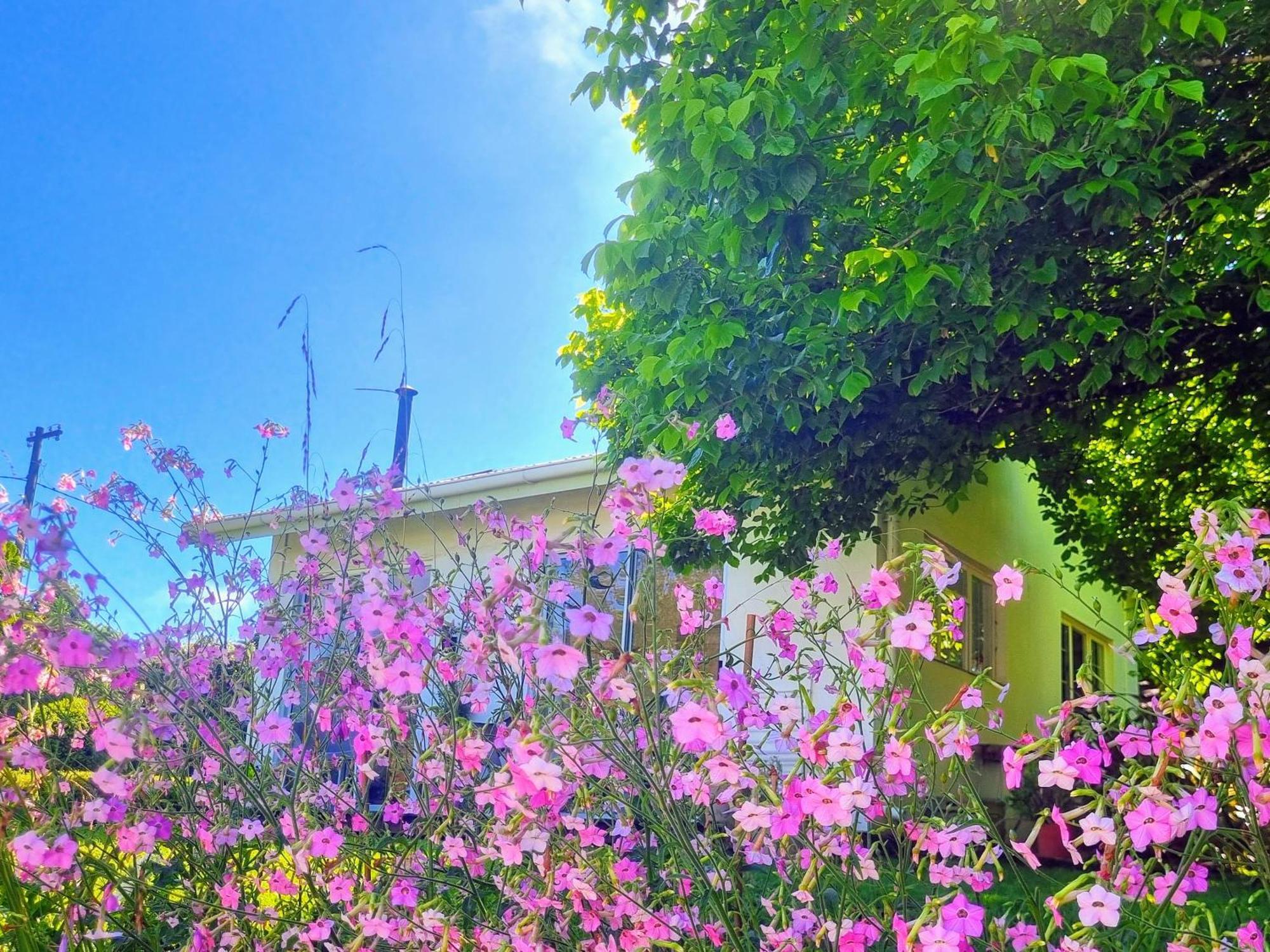 הימוויל The Cottage On The Corner מראה חיצוני תמונה