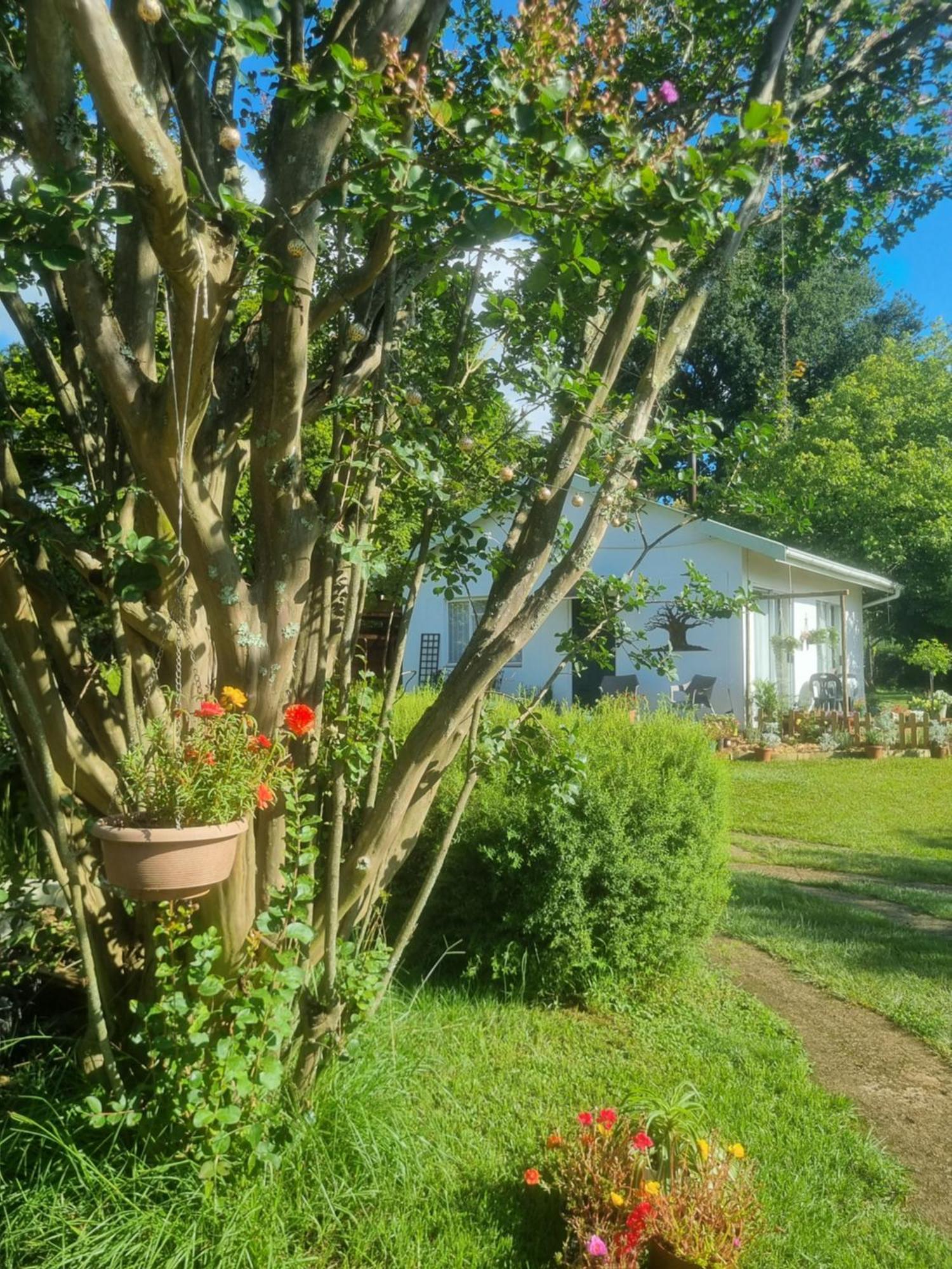 הימוויל The Cottage On The Corner מראה חיצוני תמונה
