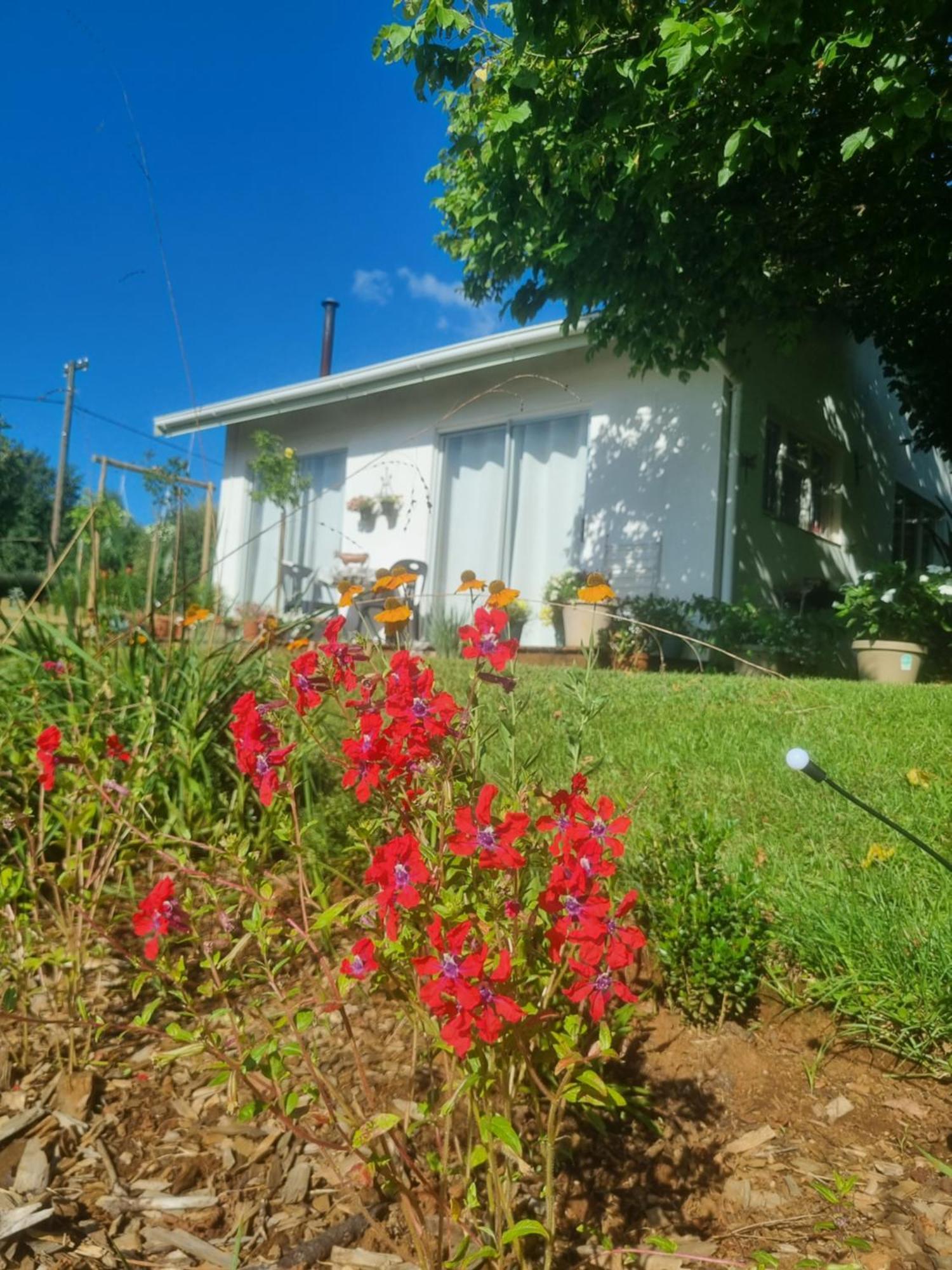 הימוויל The Cottage On The Corner מראה חיצוני תמונה