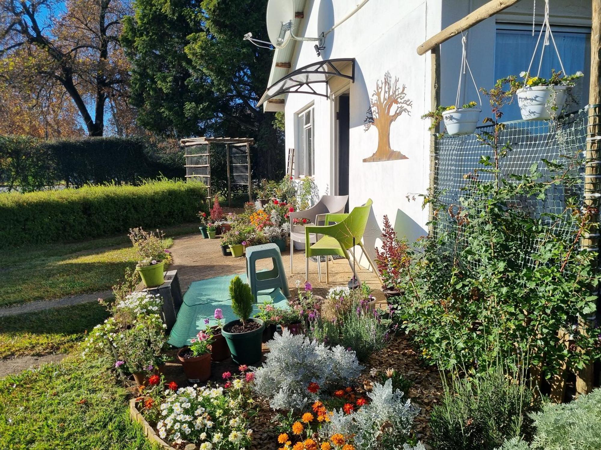 הימוויל The Cottage On The Corner מראה חיצוני תמונה